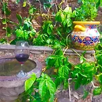Ex Hacienda