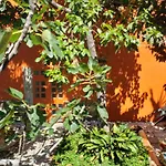 Ex Hacienda