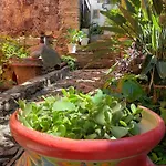 Ex Hacienda