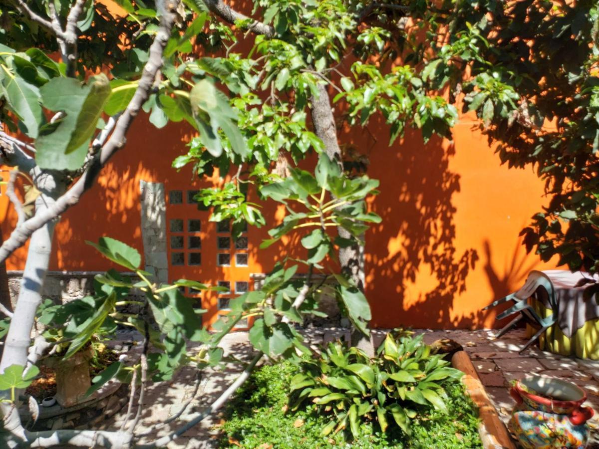 Ex Hacienda Guanajuato