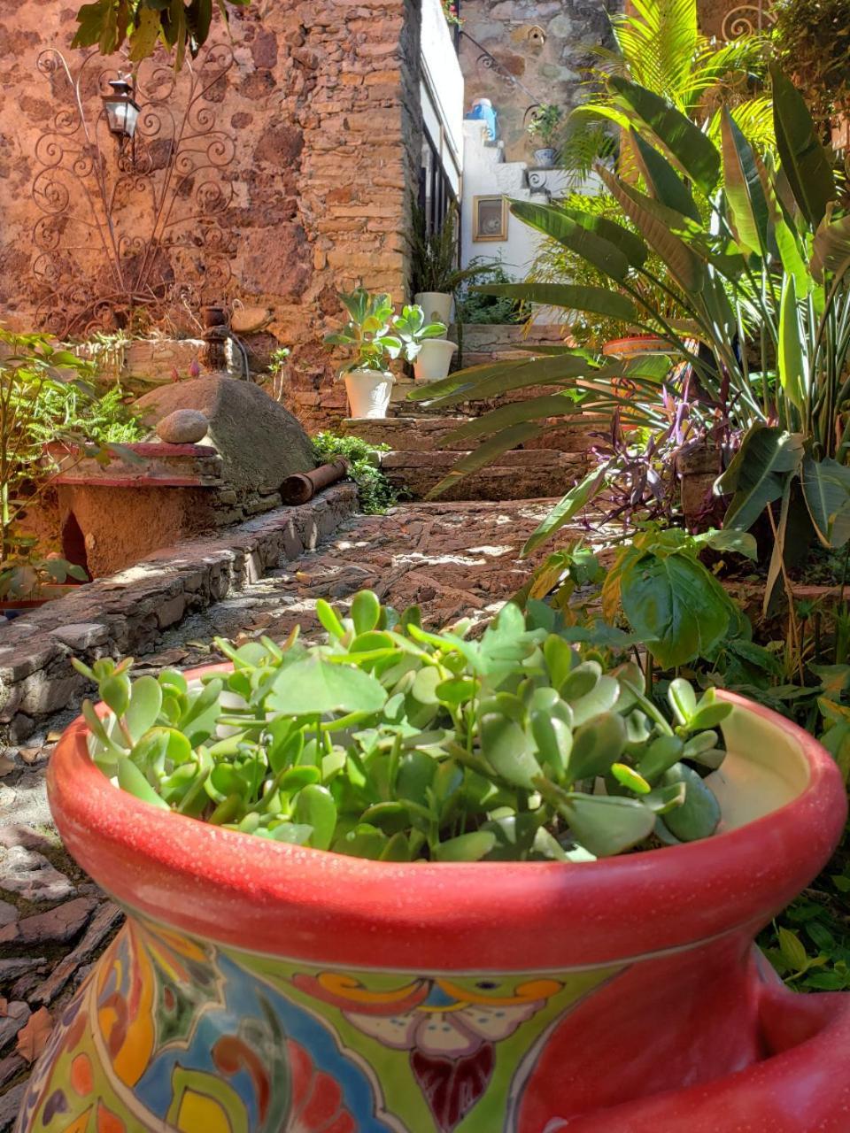 Ex Hacienda Apartamento